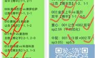 开云体育下载-奥地利对阵波兰，实力对比令人期待